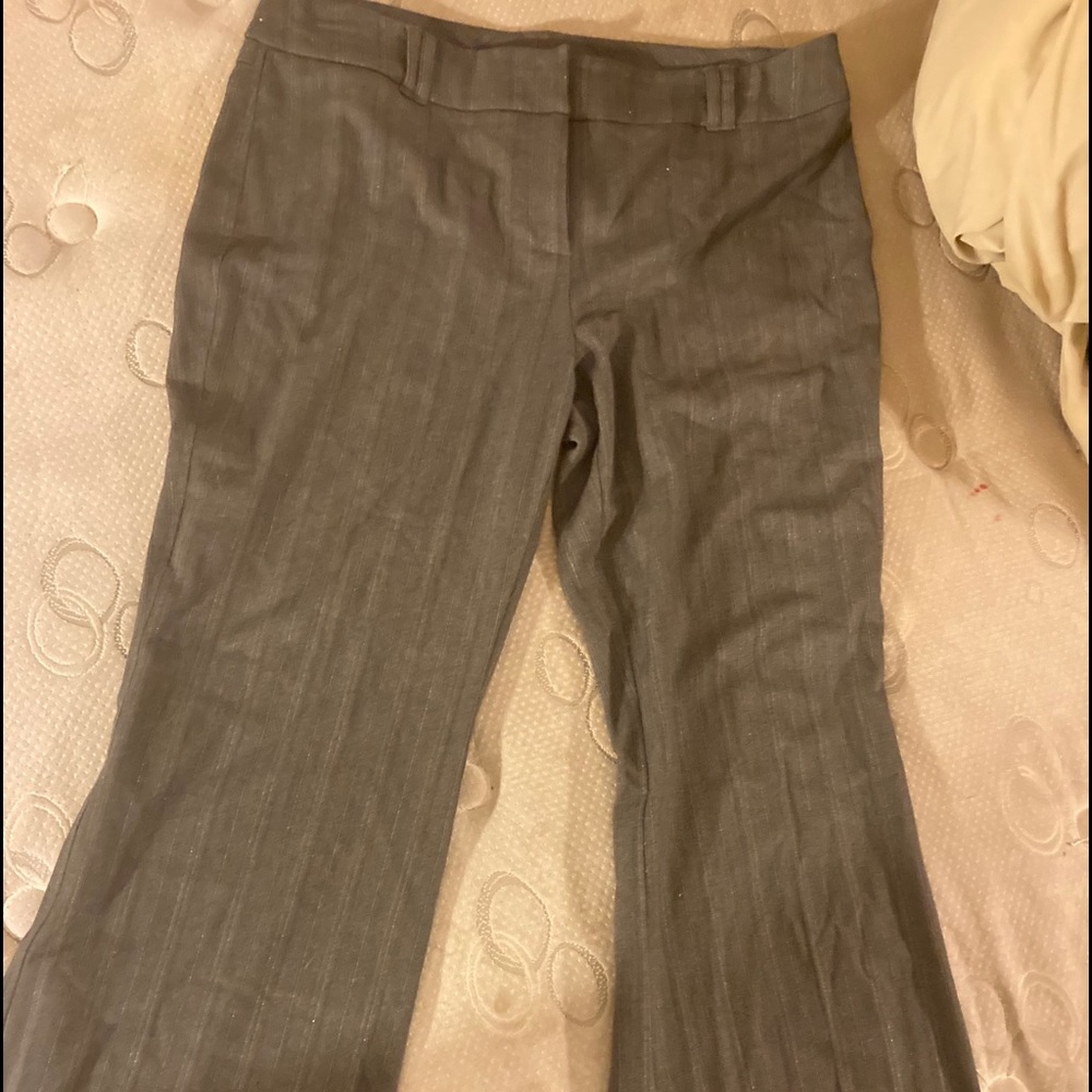 Career dress pants